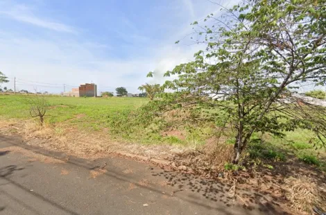 imagem 1 - Terreno - Padrão imagem 1 - Terreno - Padrão