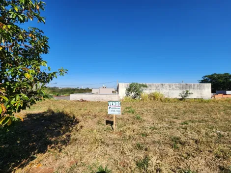 Alugar Terreno / Padrão em Bady Bassitt. apenas R$ 68.500,00