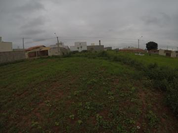 imagem 1 - Terreno Venda Residencial Borboleta III Bady Bassitt imagem 1 - Terreno Venda Residencial Borboleta III Bady Bassitt