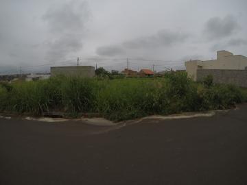 imagem 2 - Terreno Venda Residencial Borboleta III Bady Bassitt imagem 2 - Terreno Venda Residencial Borboleta III Bady Bassitt