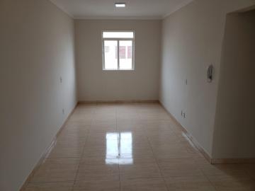 Alugar Apartamento / Padrão em São José do Rio Preto. apenas R$ 700,00