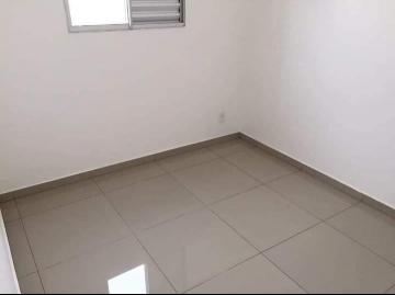 imagem 5 - Rio das Pedras - Apartamento Venda imagem 5 - Rio das Pedras - Apartamento Venda
