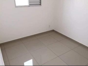 Alugar Apartamento / Padrão em São José do Rio Preto apenas R$ 800,00 - Foto 5