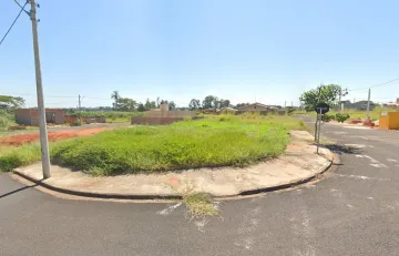 Terreno / Padrão em São José do Rio Preto 