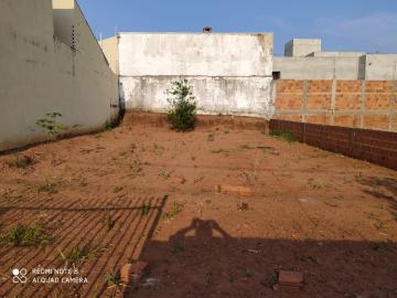 Terreno / Padrão em São José do Rio Preto , Comprar por R$120.000,00