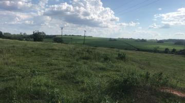 Comprar Rural / Sítio em São José do Rio Preto R$ 7.000.000,00 - Foto 1