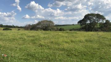 Comprar Rural / Sítio em São José do Rio Preto R$ 7.000.000,00 - Foto 3