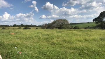 Comprar Terreno / Área em São José do Rio Preto R$ 7.000.000,00 - Foto 3