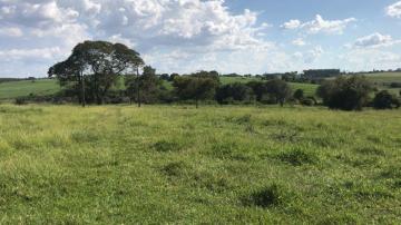 Comprar Terreno / Área em São José do Rio Preto R$ 7.000.000,00 - Foto 8