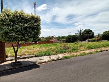Comprar Terreno / Área em São José do Rio Preto R$ 1.200.000,00 - Foto 11