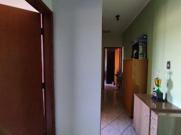 Comprar Casa / Sobrado em São José do Rio Preto apenas R$ 550.000,00 - Foto 14