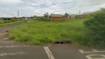 Terreno / Padrão em São José do Rio Preto 