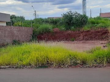 Terreno / Padrão em São José do Rio Preto 