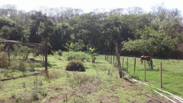 Comprar Terreno / Área em Mirassol R$ 1.200.000,00 - Foto 13
