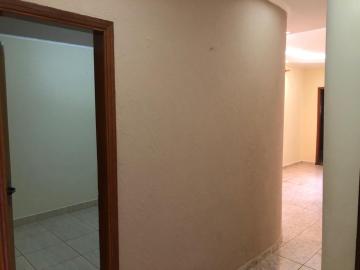 Alugar Casa / Padrão em São José do Rio Preto R$ 2.500,00 - Foto 7