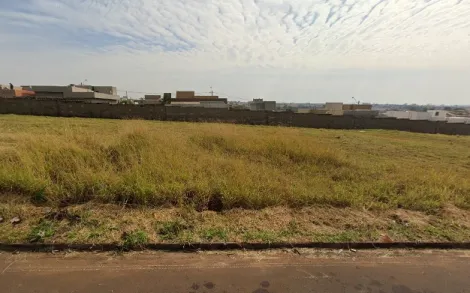 imagem 1 - Terreno - Padrão imagem 1 - Terreno - Padrão