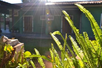 Alugar Rural / Chácara em São José do Rio Preto R$ 9.000,00 - Foto 12