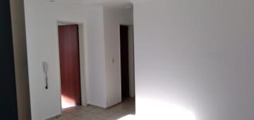 imagem 5 - Vila Angélica - Apartamento com 02 dormitórios com armários embutidos imagem 5 - Vila Angélica - Apartamento com 02 dormitórios com armários embutidos