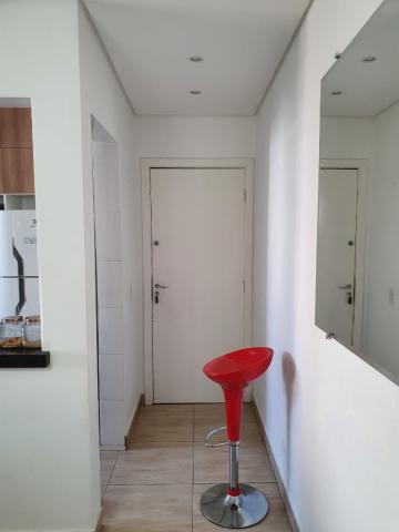 Comprar Apartamento / Padrão em São José do Rio Preto apenas R$ 245.000,00 - Foto 7