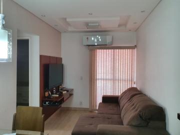 Alugar Apartamento / Padrão em São José do Rio Preto. apenas R$ 245.000,00
