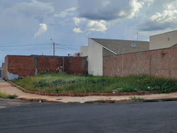 Terreno / Padrão em São José do Rio Preto 