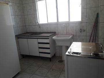 Alugar Apartamento / Padrão em São José do Rio Preto apenas R$ 900,00 - Foto 5