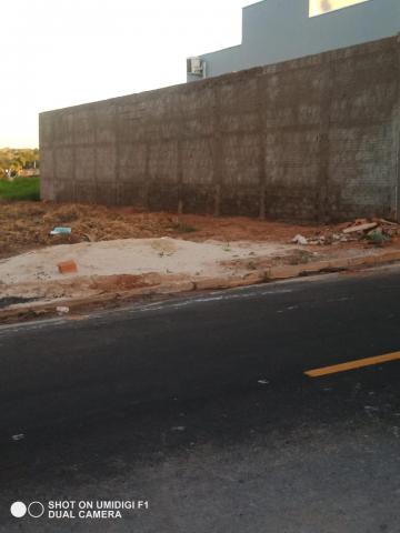 Comprar Terreno / Padrão em São José do Rio Preto apenas R$ 110.000,00 - Foto 4