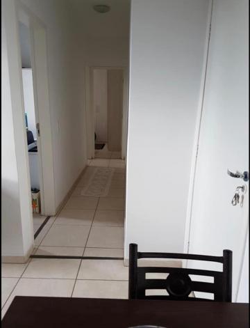 imagem 5 - Apartamento 02 dormitórios Rios di Itália imagem 5 - Apartamento 02 dormitórios Rios di Itália