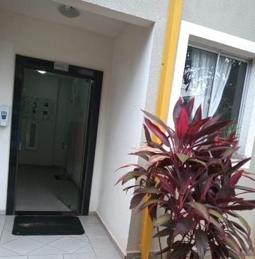 Comprar Apartamento / Padrão em São José do Rio Preto R$ 165.000,00 - Foto 15