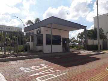 Alugar Apartamento / Padrão em São José do Rio Preto R$ 800,00 - Foto 1