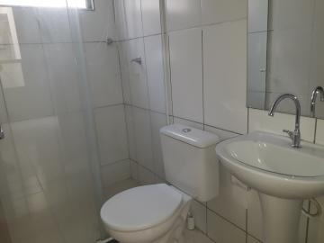 Alugar Apartamento / Padrão em São José do Rio Preto R$ 800,00 - Foto 11