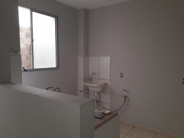 Alugar Apartamento / Padrão em São José do Rio Preto R$ 800,00 - Foto 10