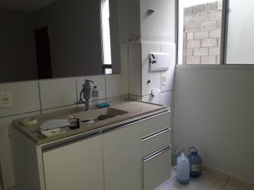 Alugar Apartamento / Padrão em São José do Rio Preto apenas R$ 800,00 - Foto 4