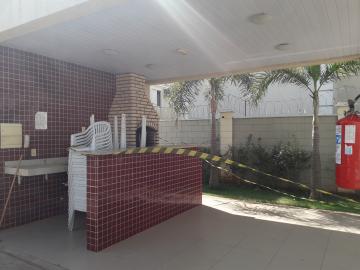 Alugar Apartamento / Padrão em São José do Rio Preto apenas R$ 800,00 - Foto 13