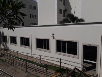 Alugar Apartamento / Padrão em São José do Rio Preto apenas R$ 800,00 - Foto 14