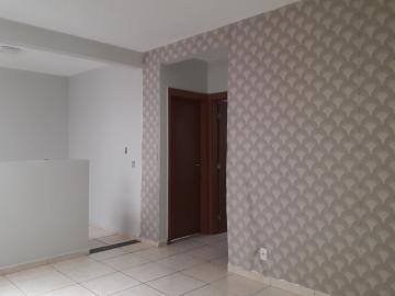 Alugar Apartamento / Padrão em São José do Rio Preto R$ 800,00 - Foto 3