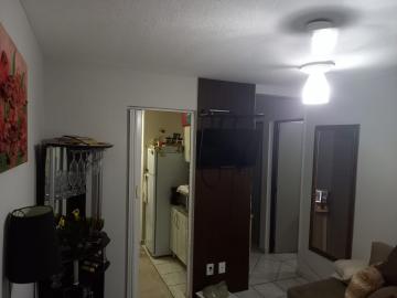 imagem 2 - Apartamento - Padrão imagem 2 - Apartamento - Padrão