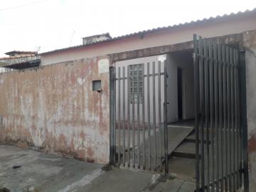 imagem 1 - Casa 02 dormitórios Solo Sagrado imagem 1 - Casa 02 dormitórios Solo Sagrado