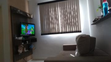 Comprar Apartamento / Padrão em São José do Rio Preto apenas R$ 180.000,00 - Foto 3