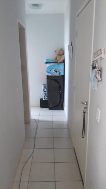 imagem 5 - Apartamento - Padrão imagem 5 - Apartamento - Padrão
