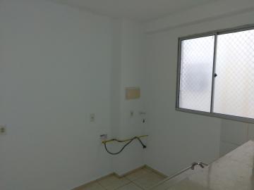 Alugar Apartamento / Padrão em São José do Rio Preto apenas R$ 600,00 - Foto 7