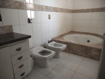 Alugar Apartamento / Padrão em São José do Rio Preto R$ 3.500,00 - Foto 2