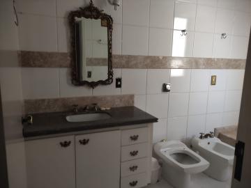 Alugar Apartamento / Padrão em São José do Rio Preto R$ 3.500,00 - Foto 4