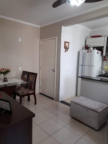 imagem 1 - Apartamento 02 Dormitórios Eldorado imagem 1 - Apartamento 02 Dormitórios Eldorado