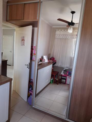 Alugar Apartamento / Padrão em São José do Rio Preto apenas R$ 800,00 - Foto 2