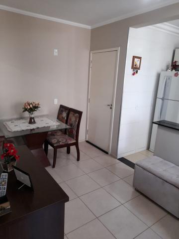 Alugar Apartamento / Padrão em São José do Rio Preto R$ 800,00 - Foto 4