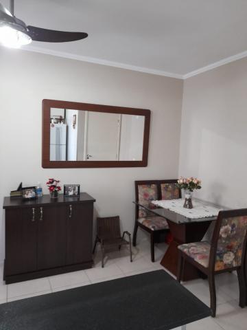 Alugar Apartamento / Padrão em São José do Rio Preto apenas R$ 800,00 - Foto 22