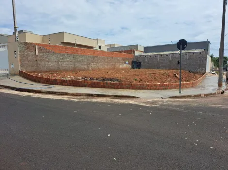 imagem 2 - Terreno - Padrão imagem 2 - Terreno - Padrão