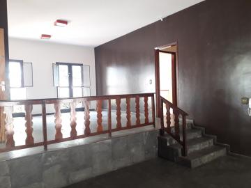 imagem 4 - Casa com 03 dormitórios na Vila Nossa Senhora da Paz imagem 4 - Casa com 03 dormitórios na Vila Nossa Senhora da Paz