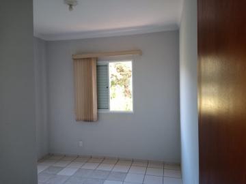 imagem 4 - Apartamento - Padrão imagem 4 - Apartamento - Padrão